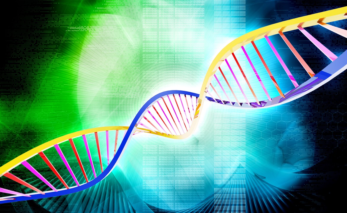 Badania nad replikacją DNA